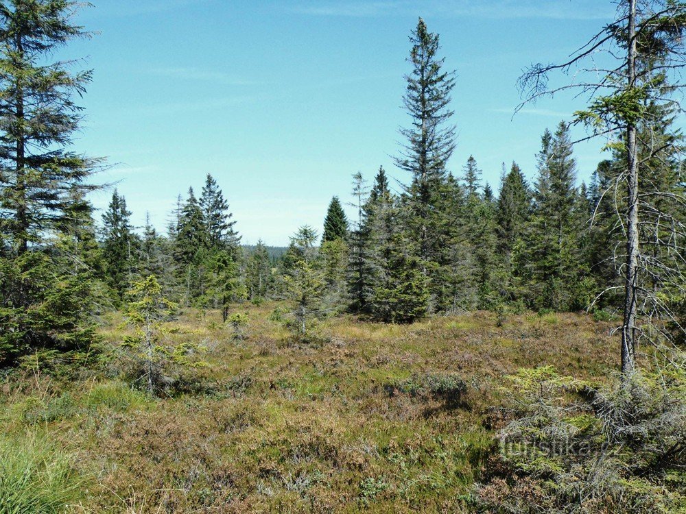 unberührte Natur