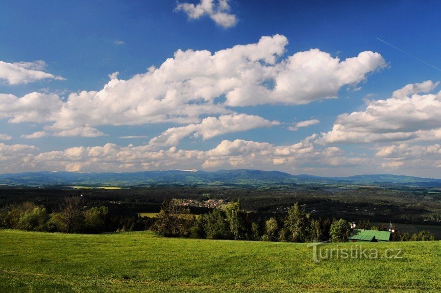 Panorama Krkonoš ze Zvičiny