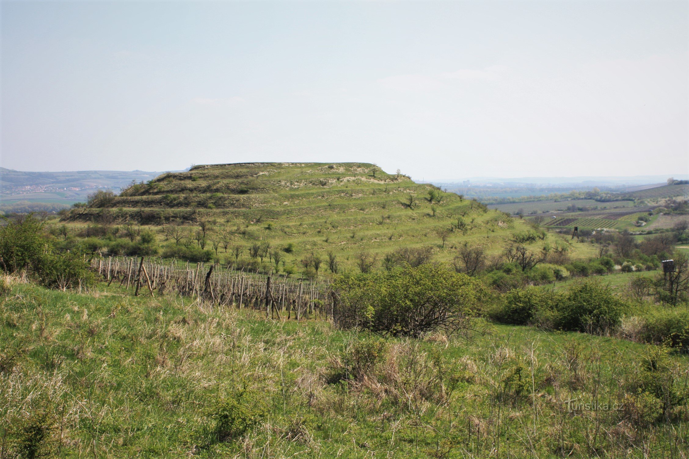 Panorama av stora soliga