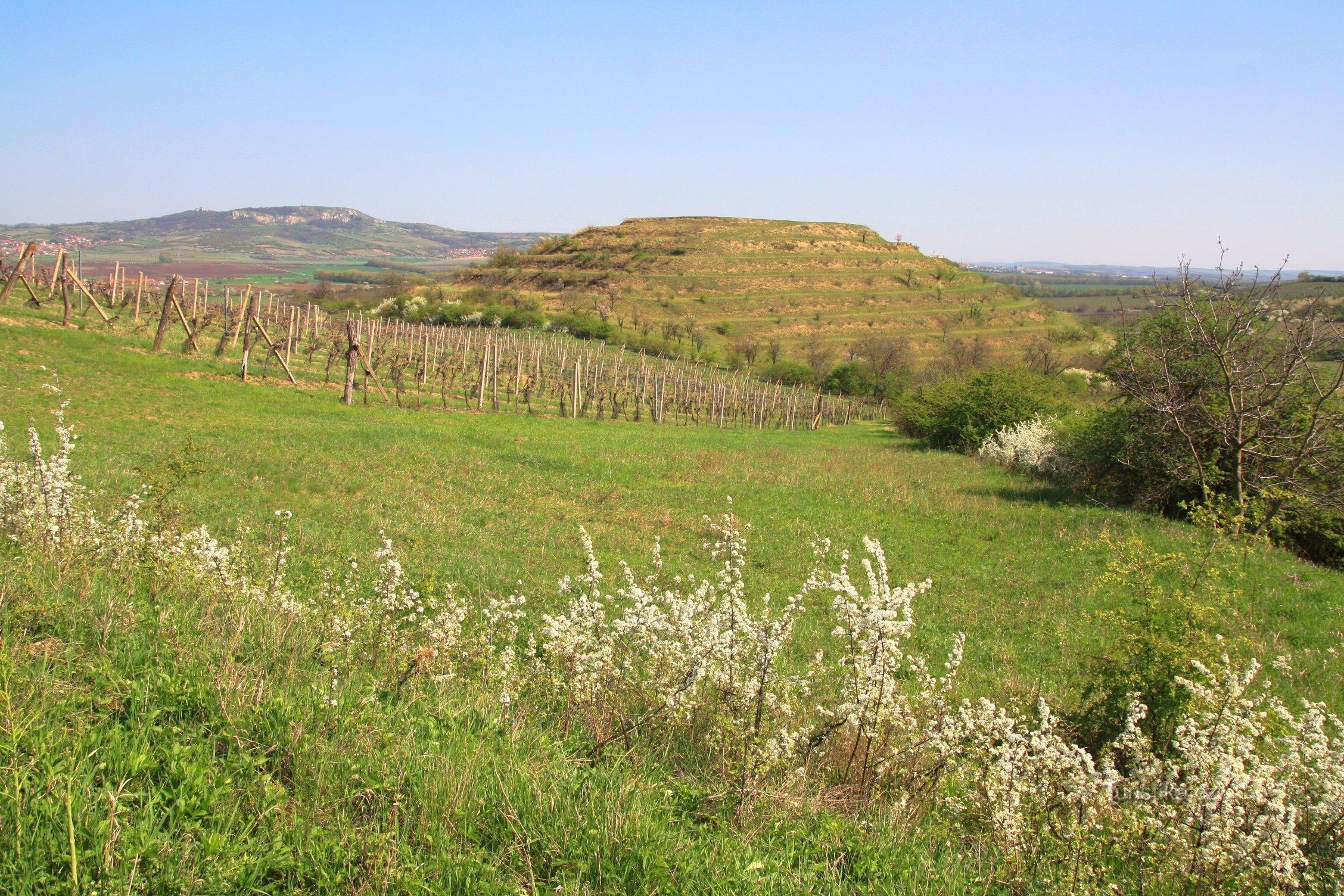 Panorama von Big Sunny