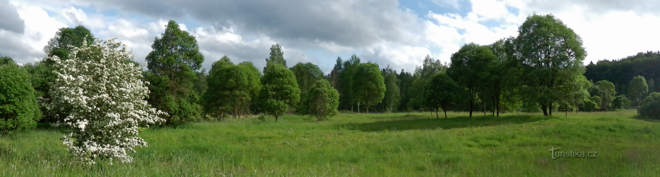 Panoramski pogled