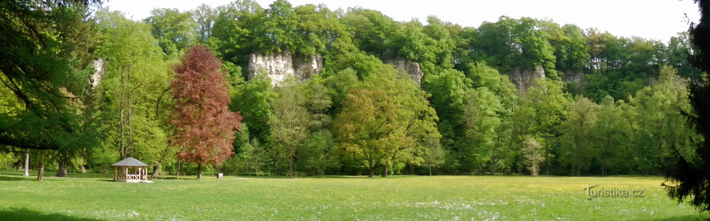 Une vue panoramique d'une partie de Wormwood