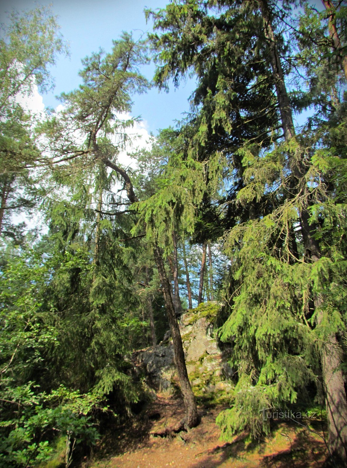 Manská skála bei Jablonné nad Orlicí