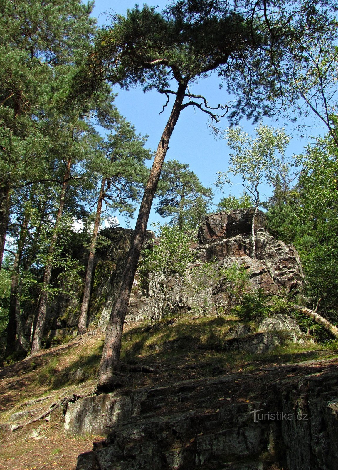 Manská skála w pobliżu Jablonné nad Orlicí