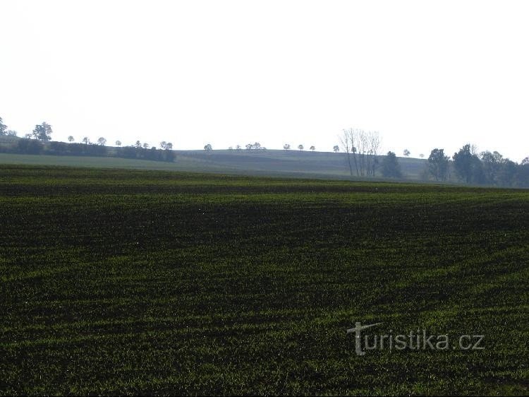 Herenheuvel vanaf de weg naar Bernartice nad Odra