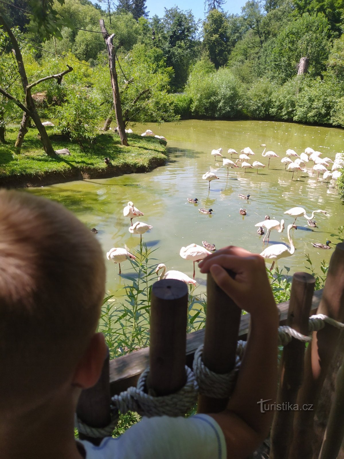 Nekaj ​​slik iz ZOO Lešná Zlín