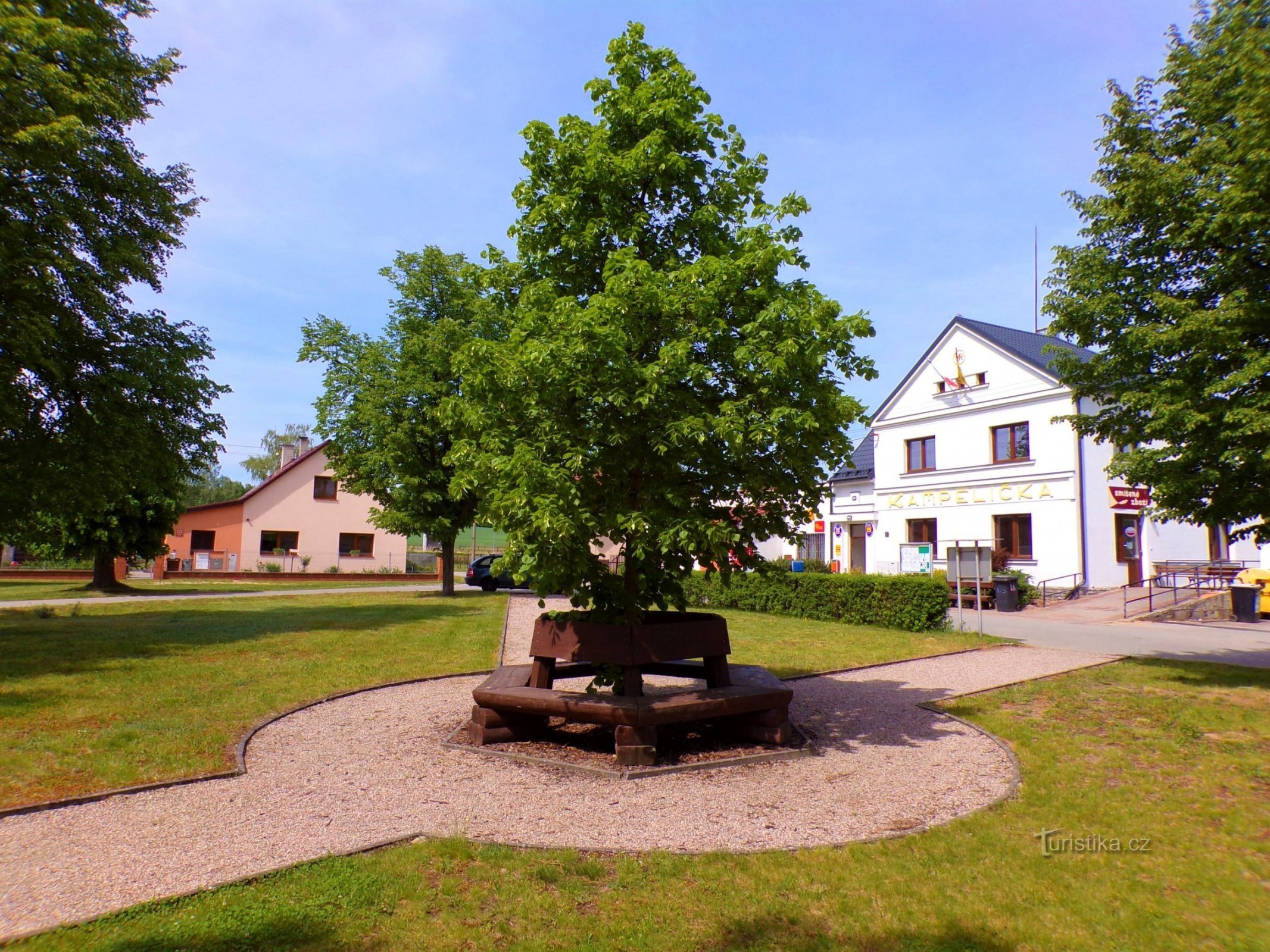 Parčík (Žďár nad Orlicí, 20.5.2022)