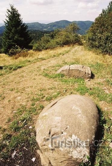 Pardus - pogled z vrha proti Z