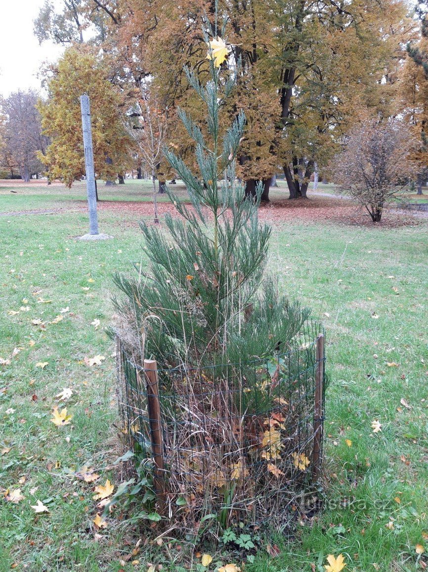 Bažantnice Park en geologische expositie in Milevsko