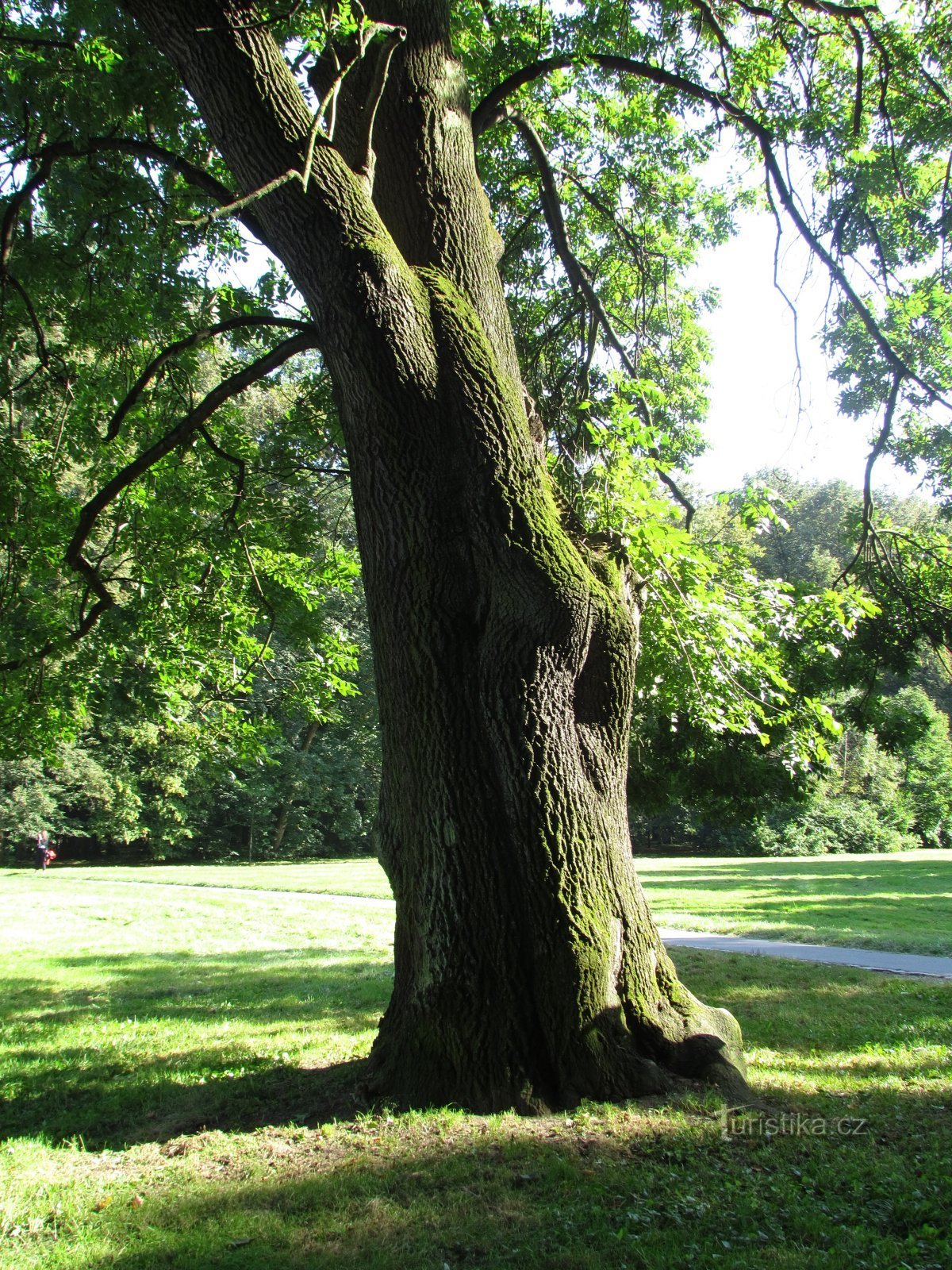 Božena Němcová park