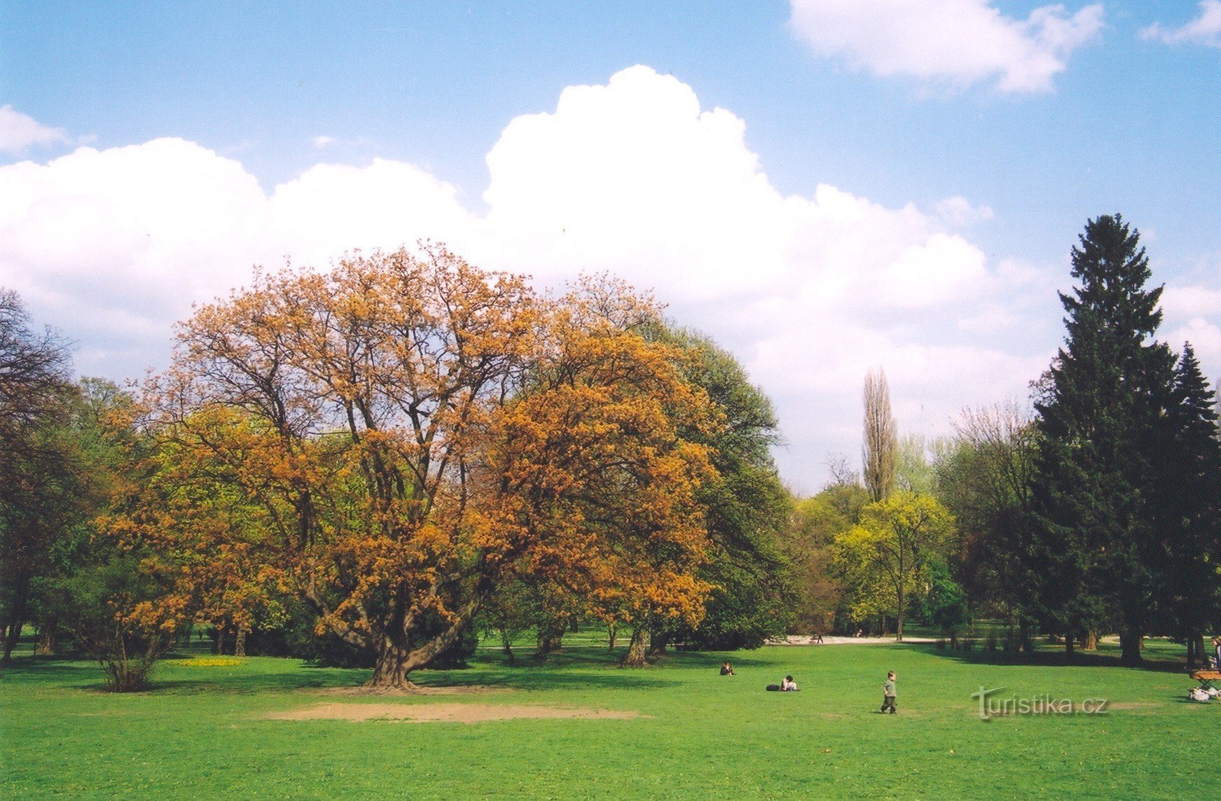 Luzánky Park