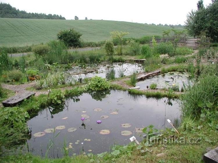 Parken Sie in Čabárná