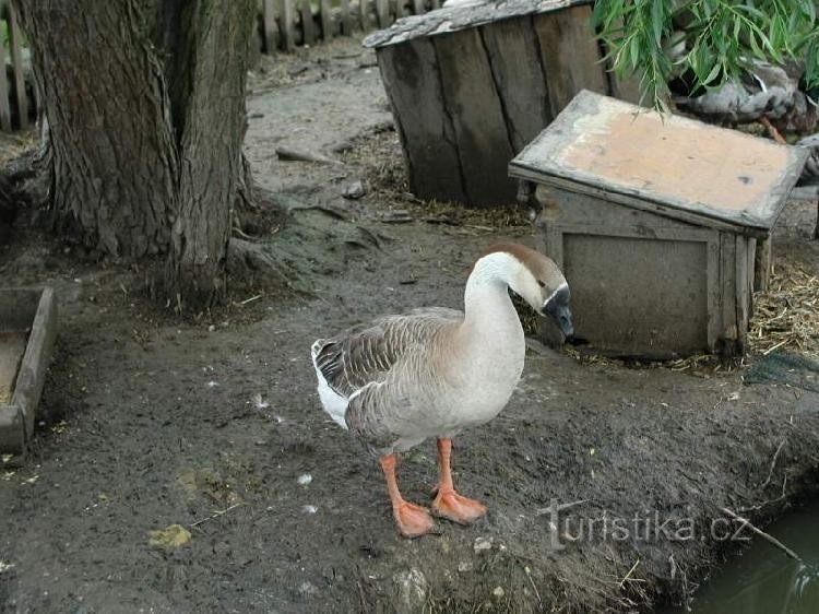 Parkeer bij Čabárná