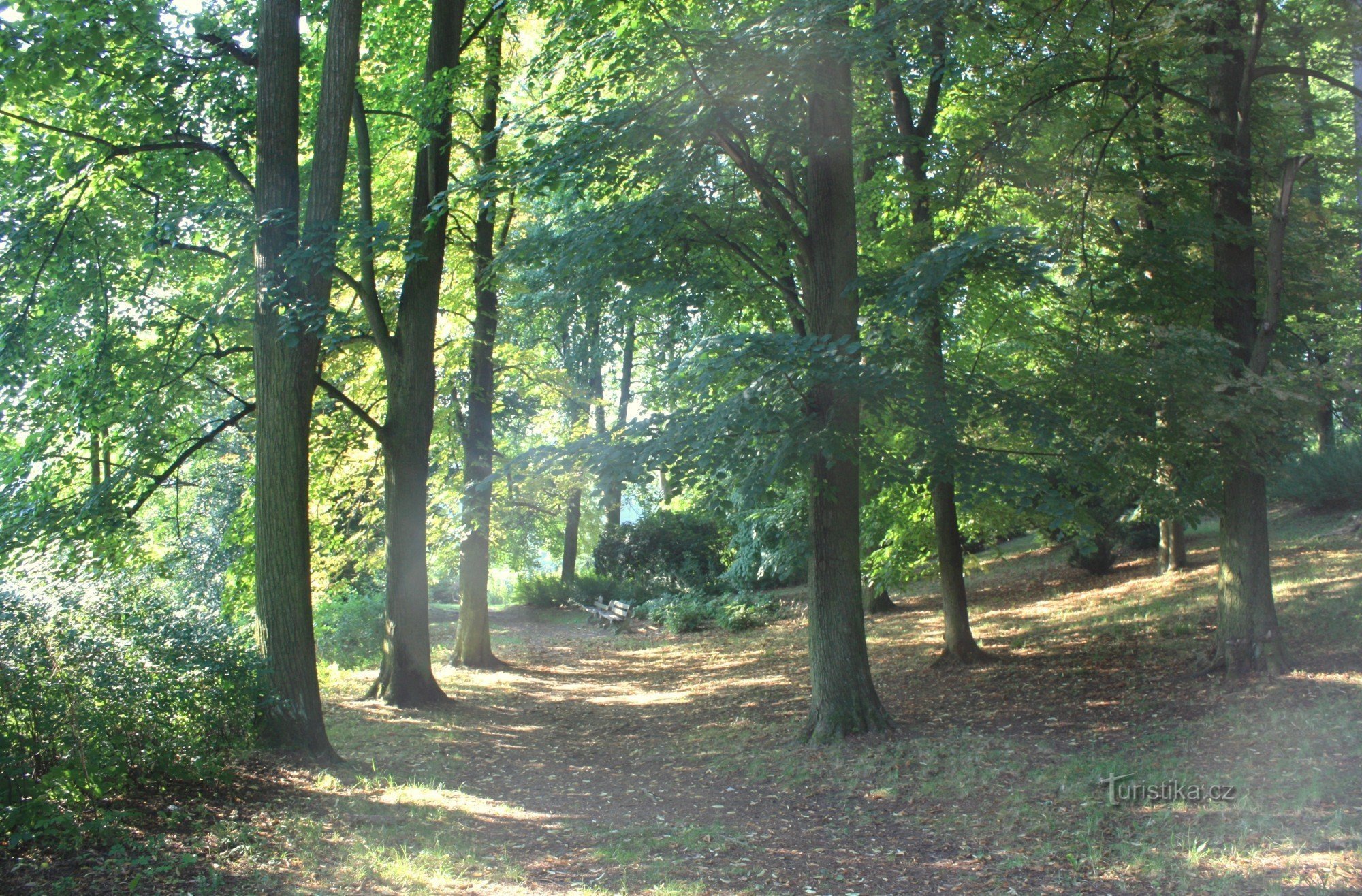 Park in Šeptouchov