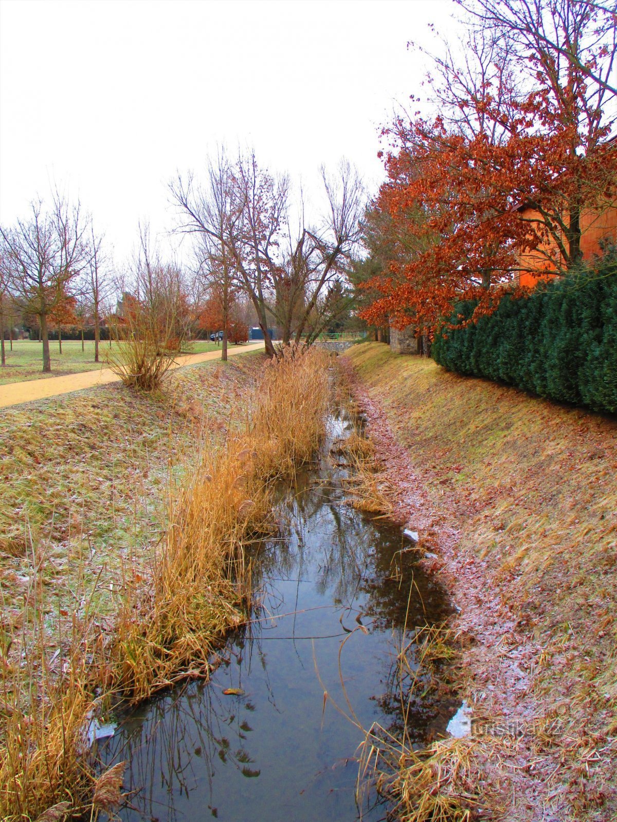 Park Na Špici (Pardubice, 12.1.2022)