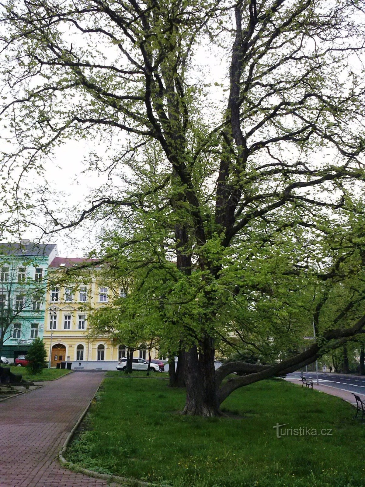 Park in front of the church of St. Elizabeth