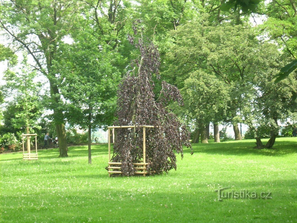 Parc du Sacré-Cœur