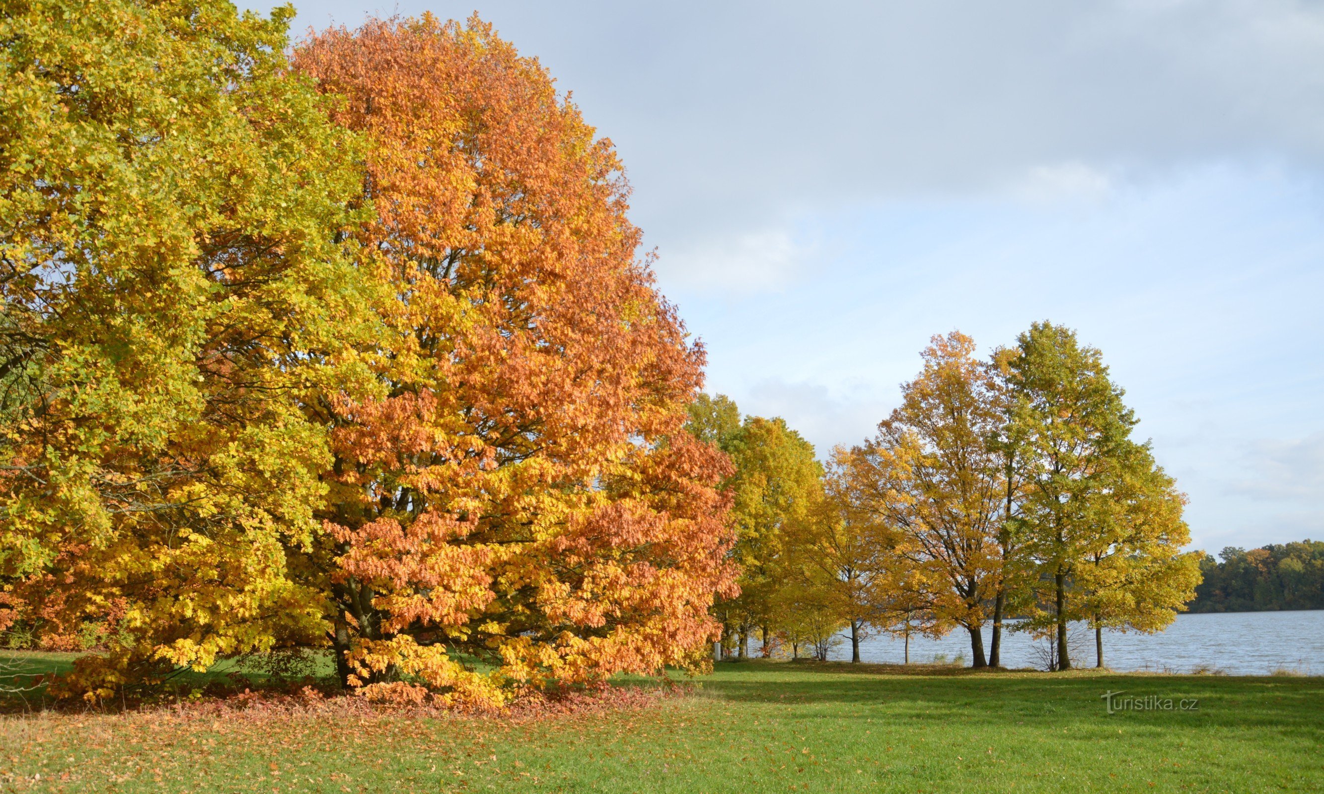 park u lázní Aurora, vzadu Svět