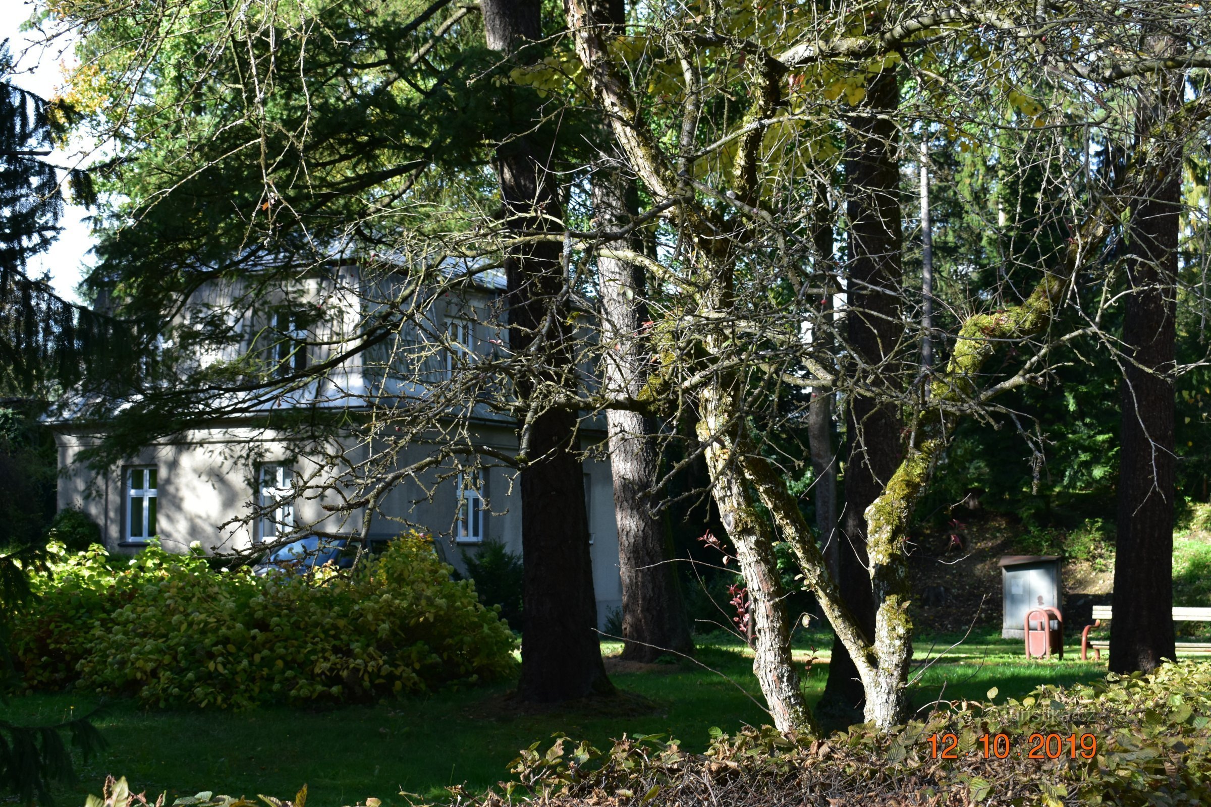 Puisto lähellä parantola Jablunkov, arboretum