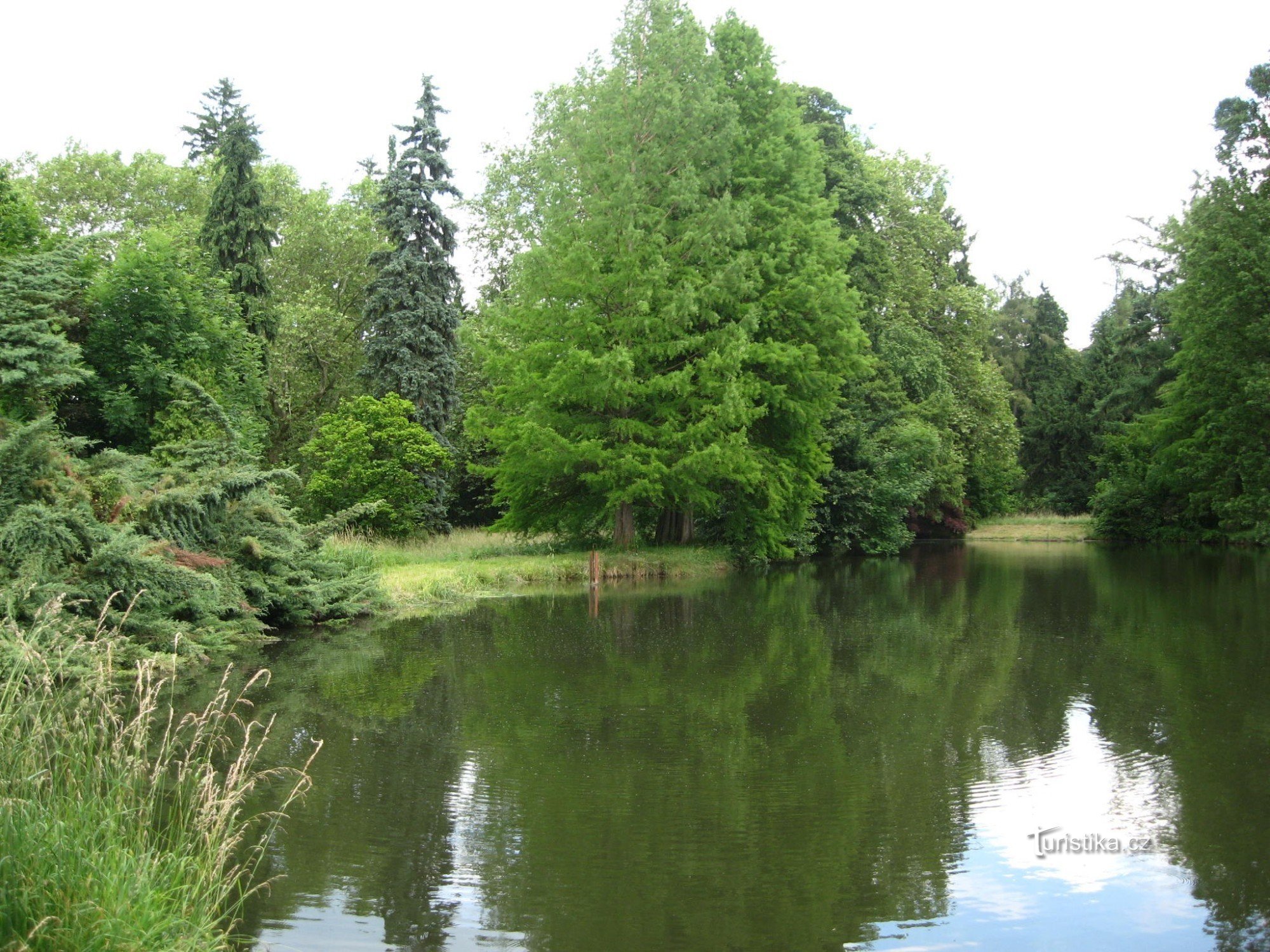 お城の近くの公園