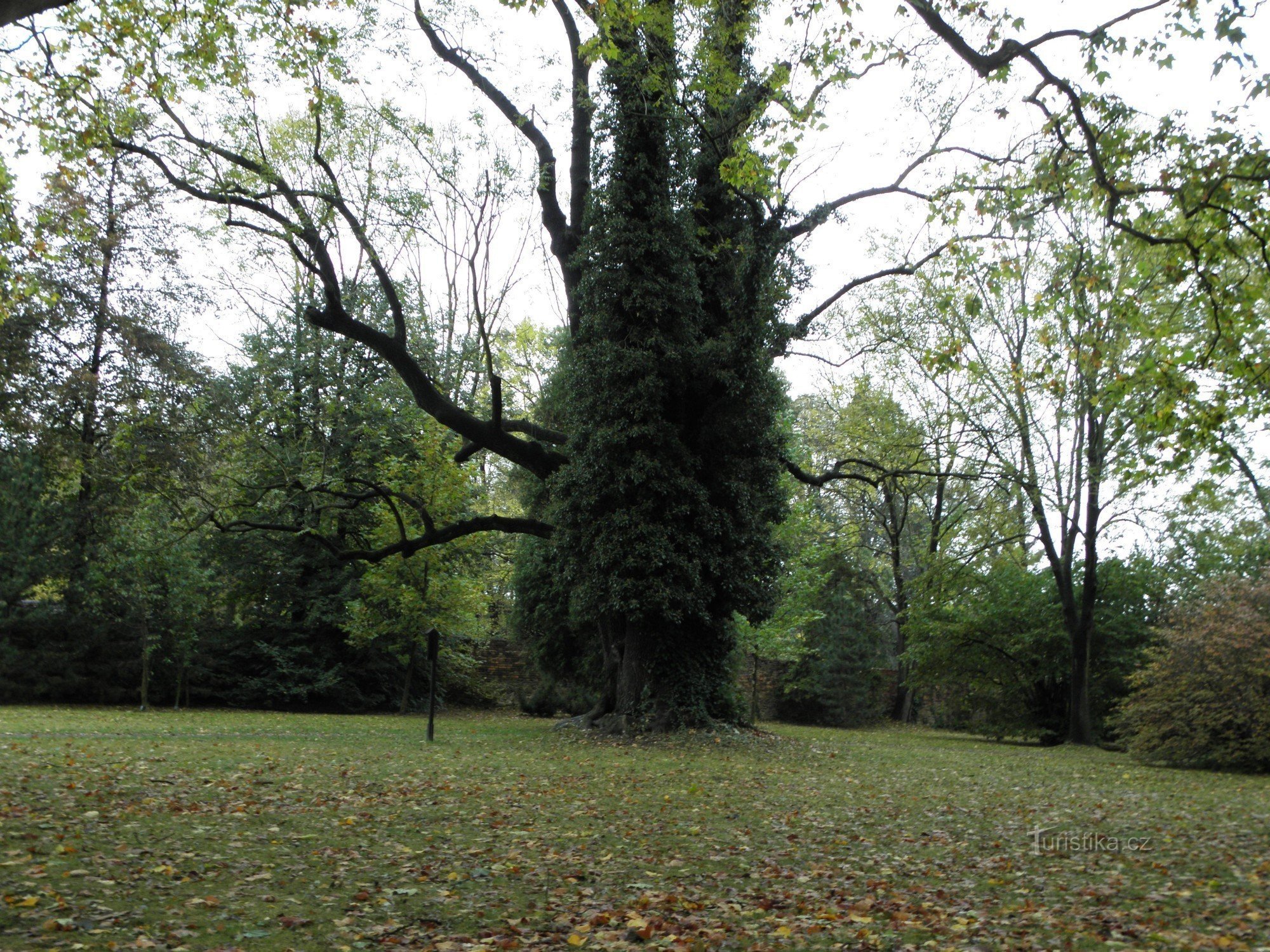 Park in Ostrava Trebovice