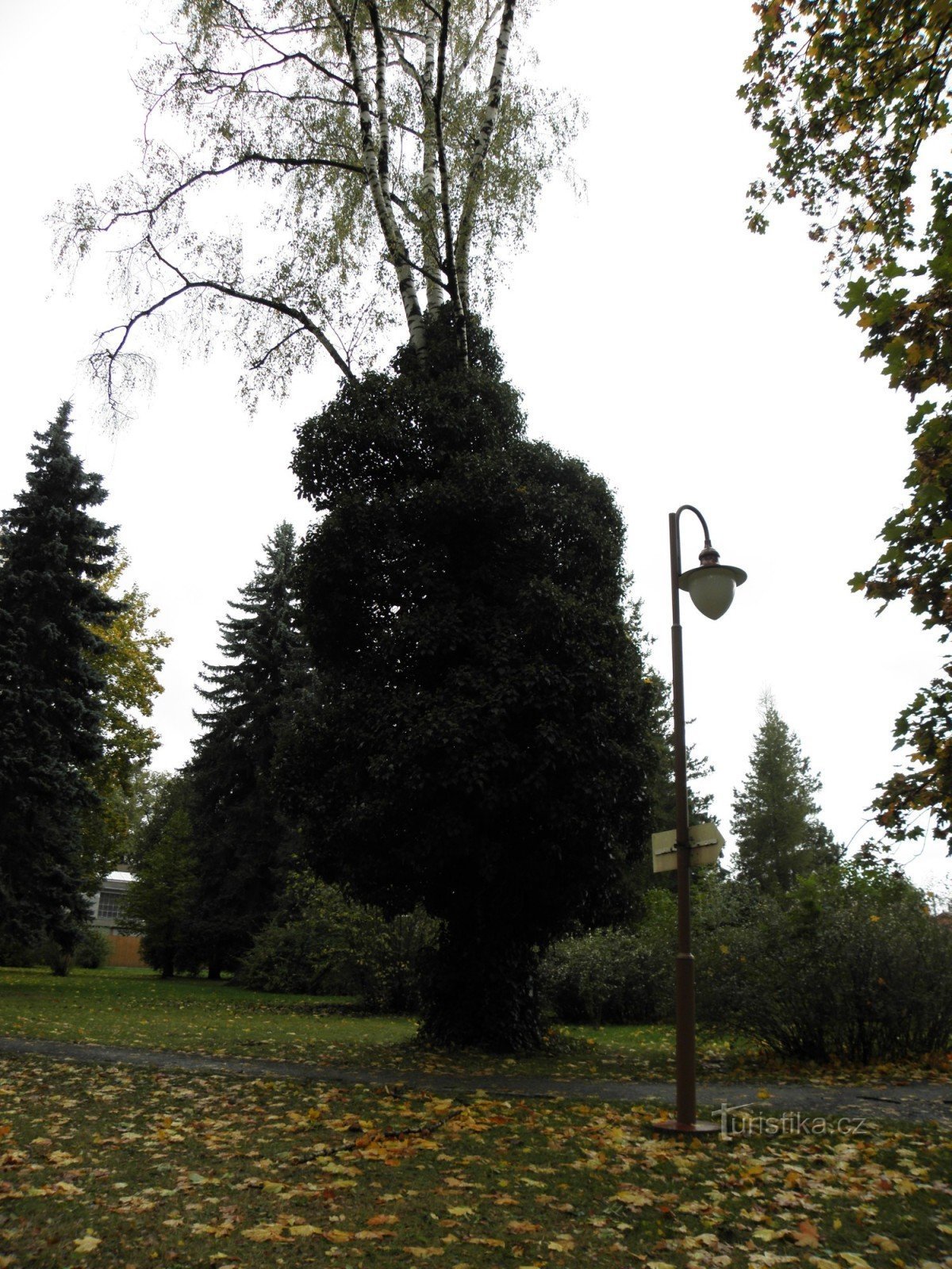 Park in Ostrava Třebovice