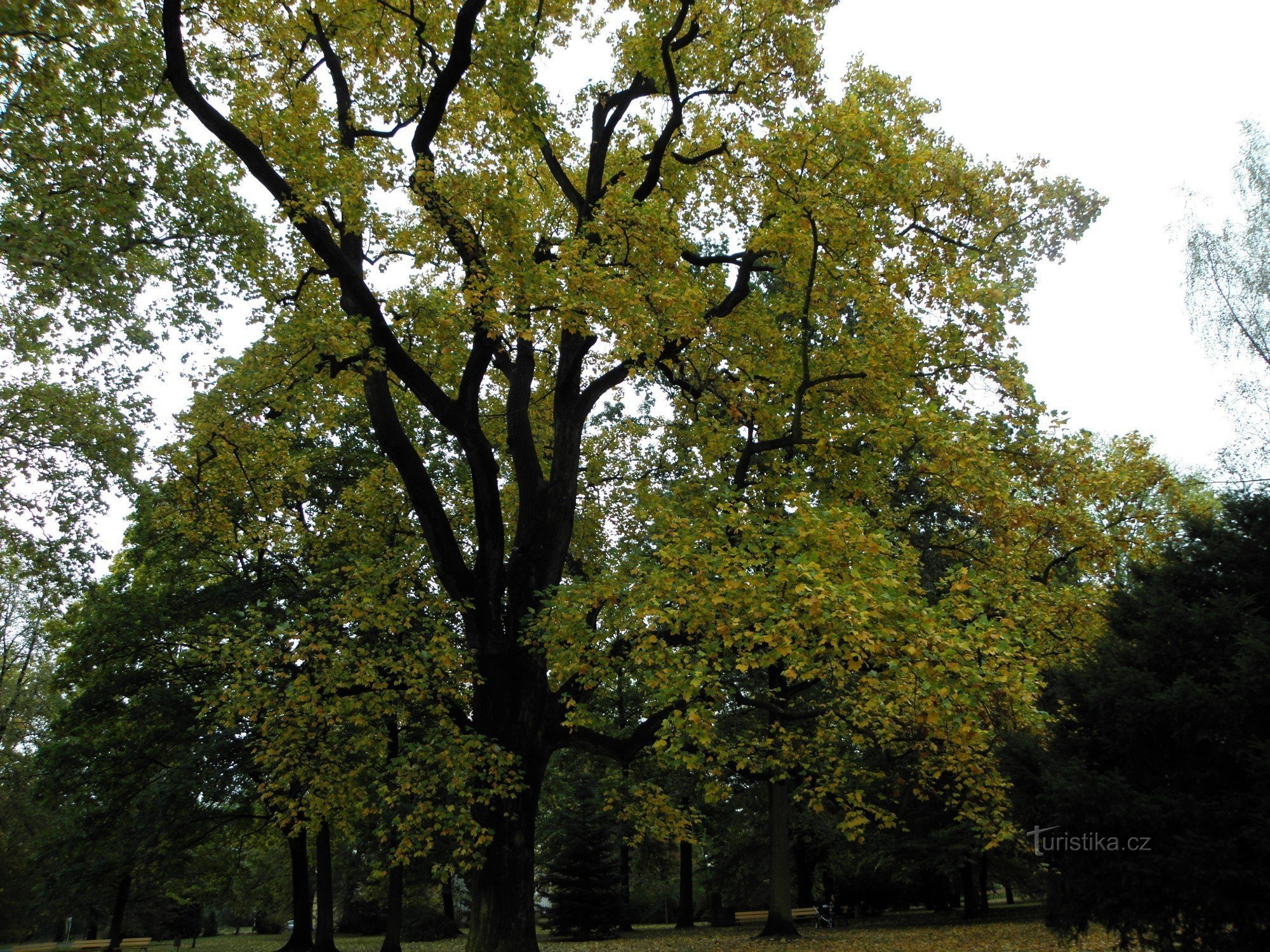 Park i Ostrava Třebovice