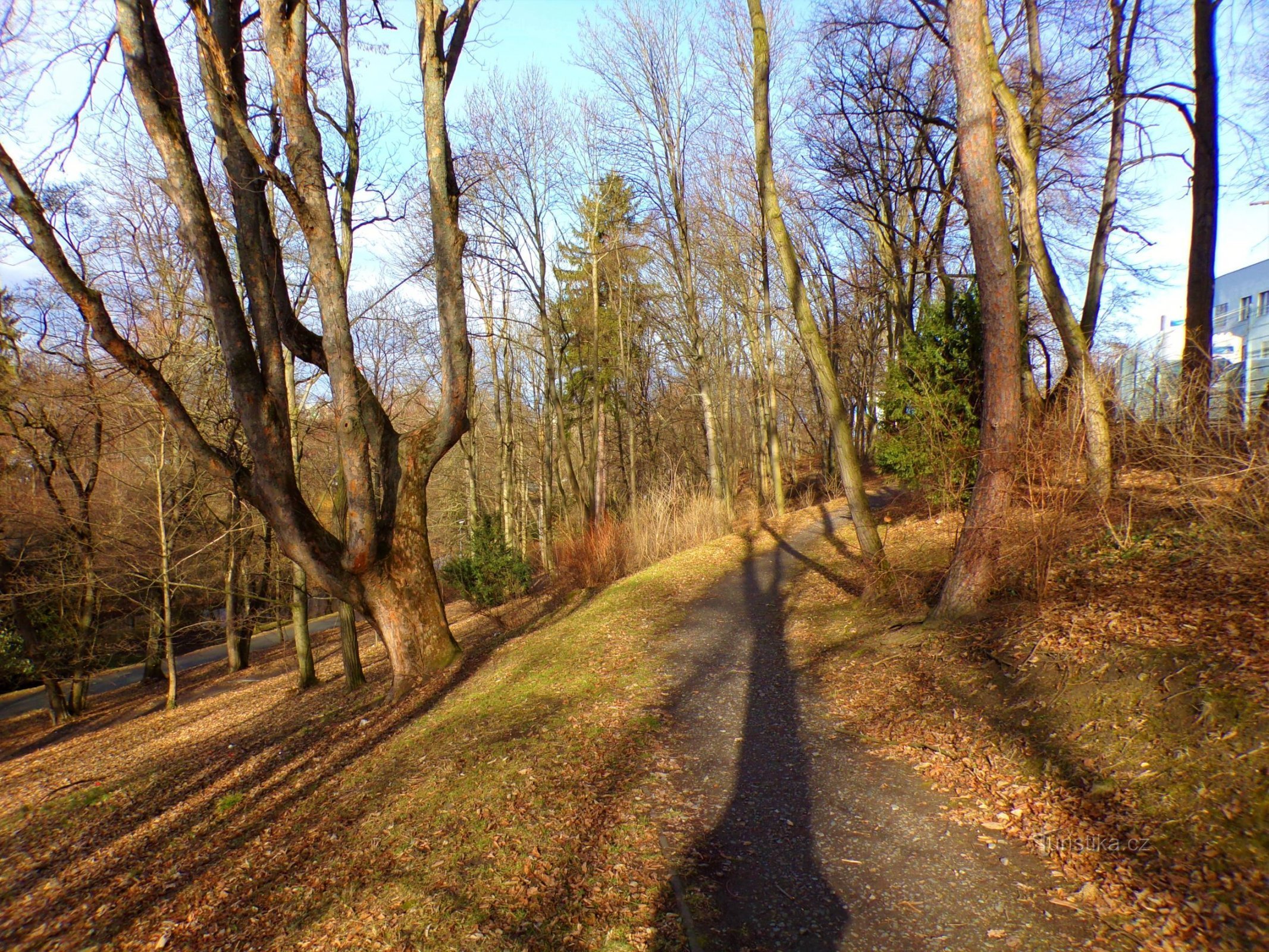 Vinice Park (Пардубіце, 16.2.2022)