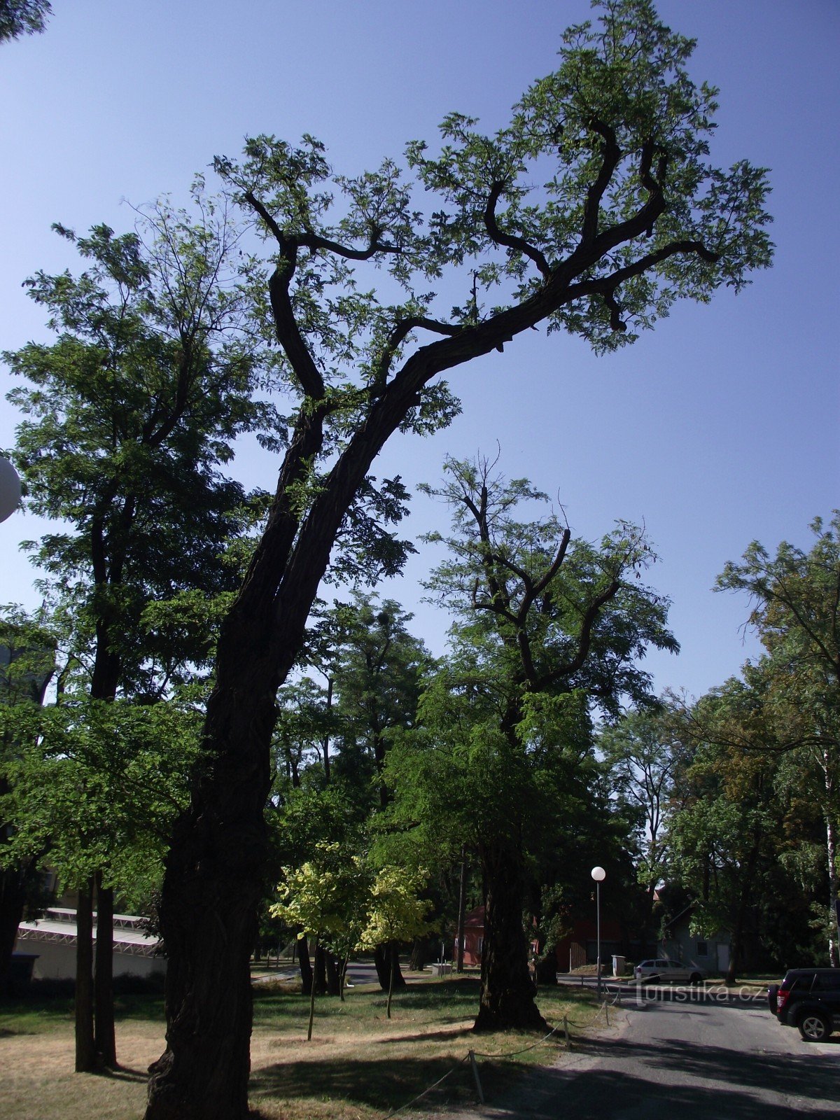 seção do parque