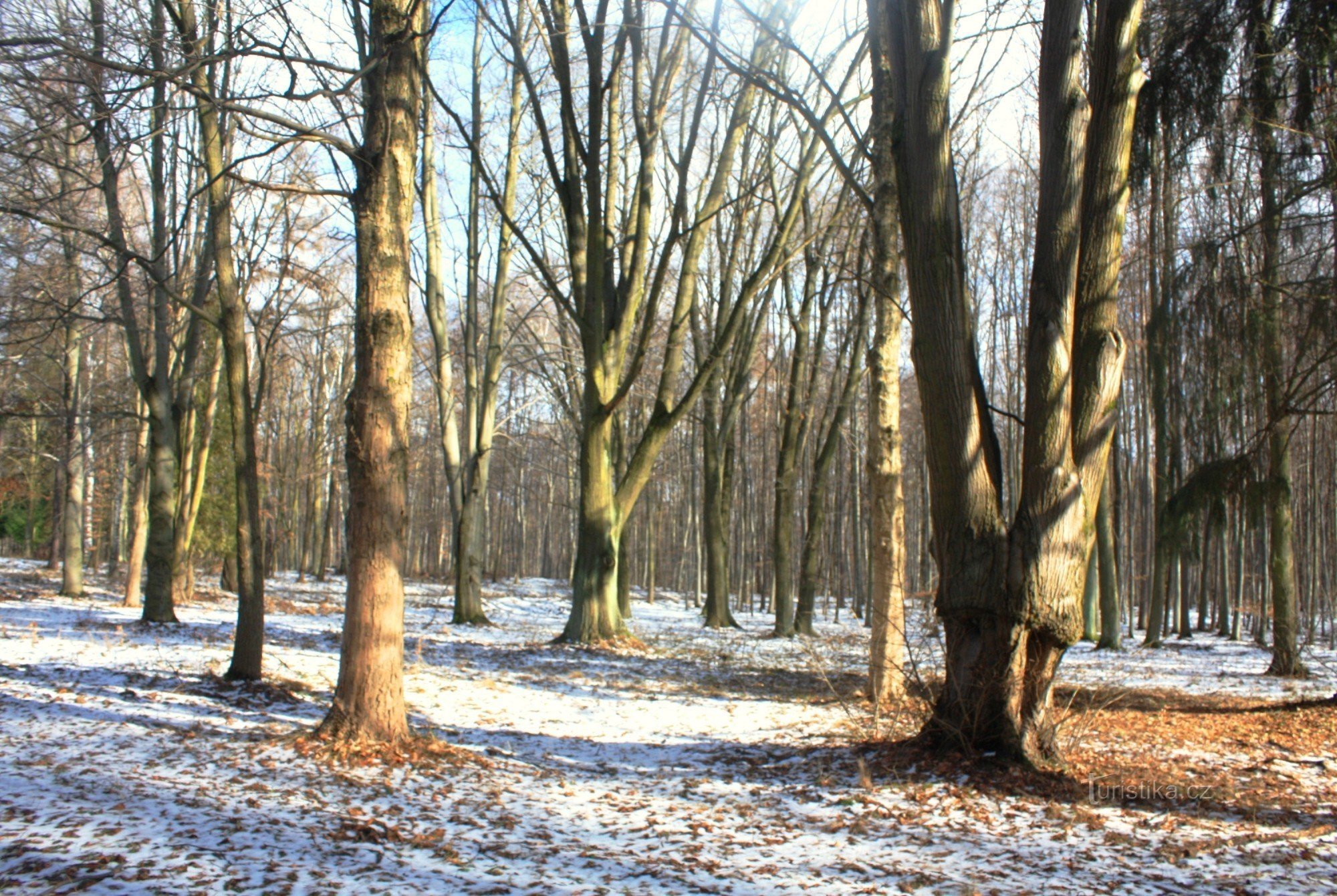 Palouk de U Lípy ajardinado como um parque