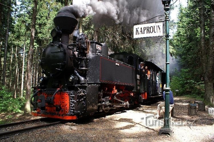 Trem a vapor: e se você tiver sorte, verá até um trem a vapor passando :-)