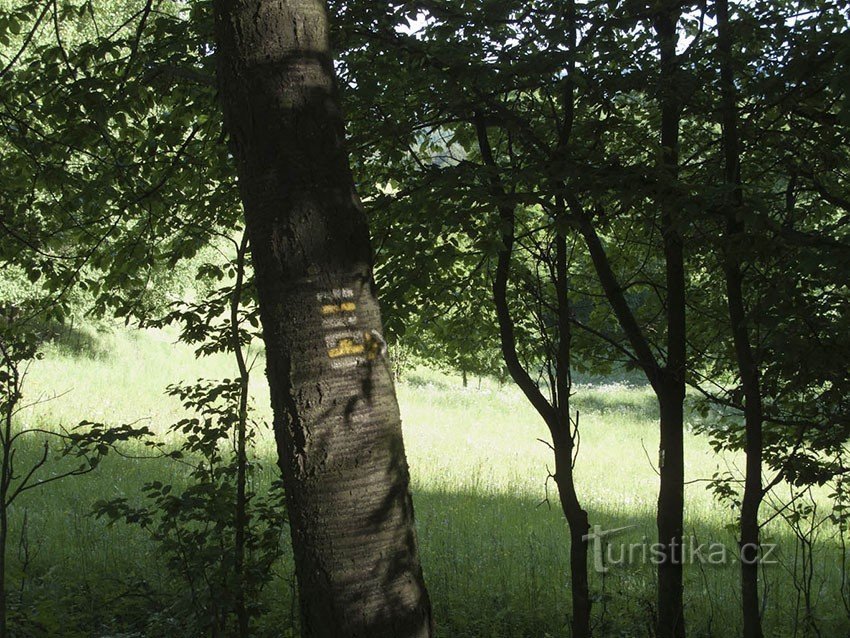 Bunker partisan près de Drozdov