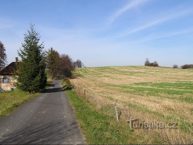 Paseky: Paseky - cesta z Borové na Paseky