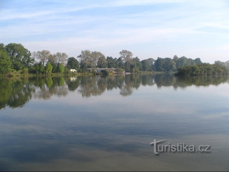 Pasture pond