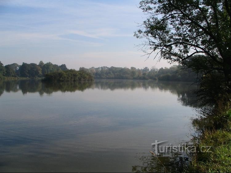 Pasture pond