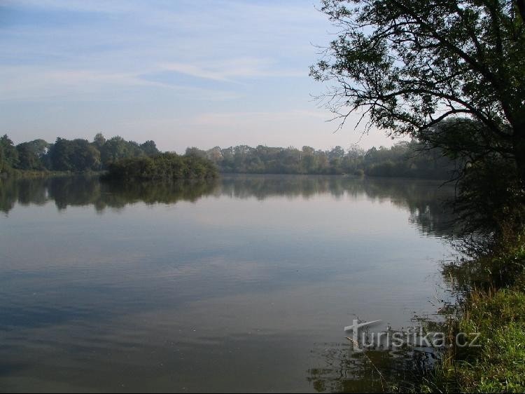 Pasture pond