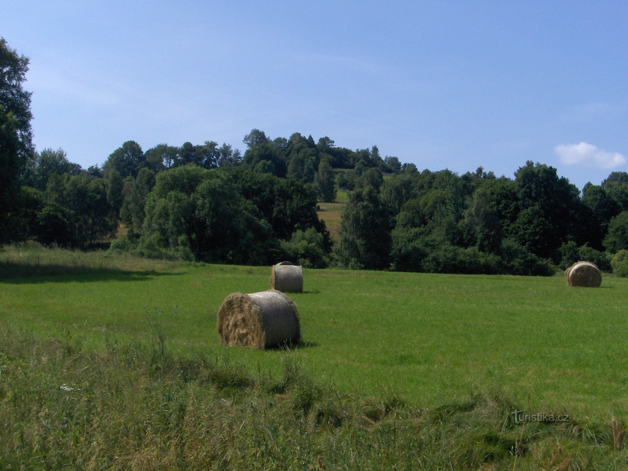 Collina del pascolo