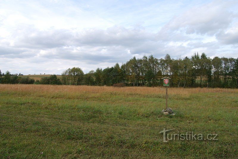 Weiden bei Záhorčice