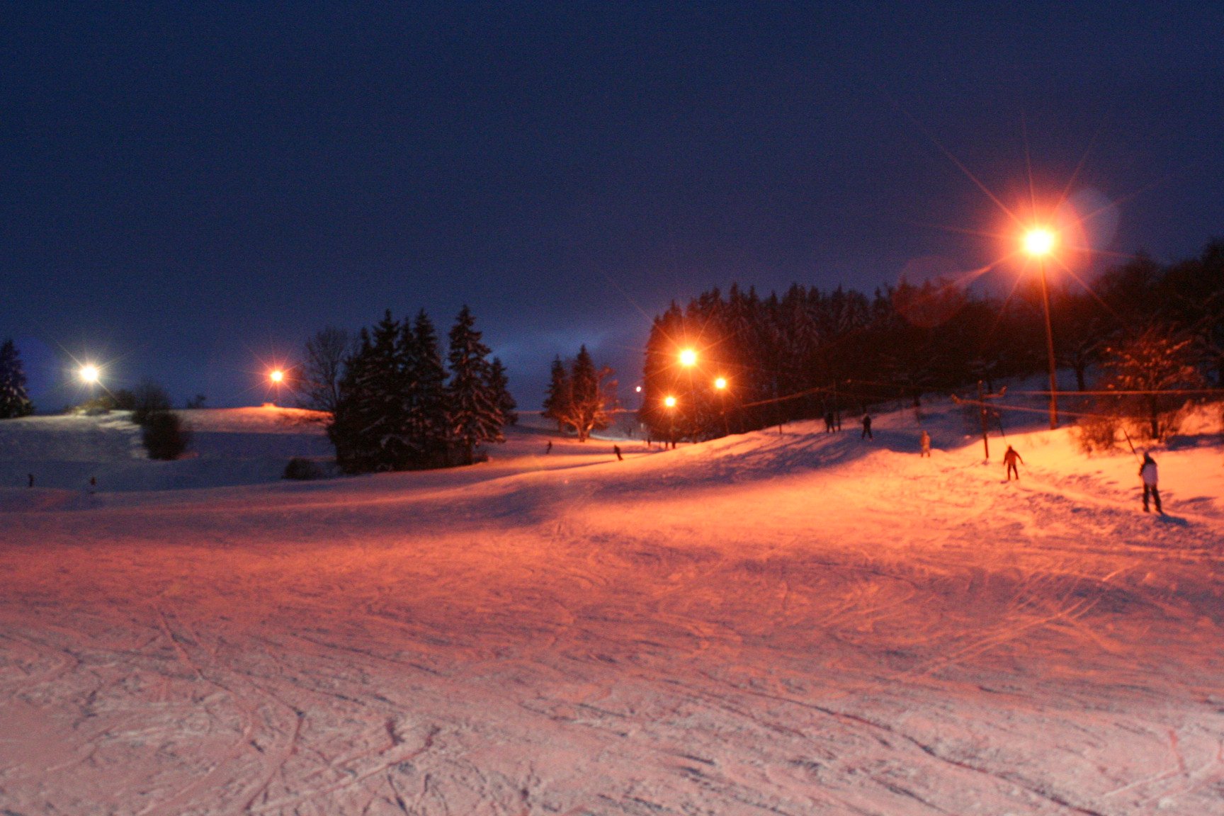 Abendliche Weiden