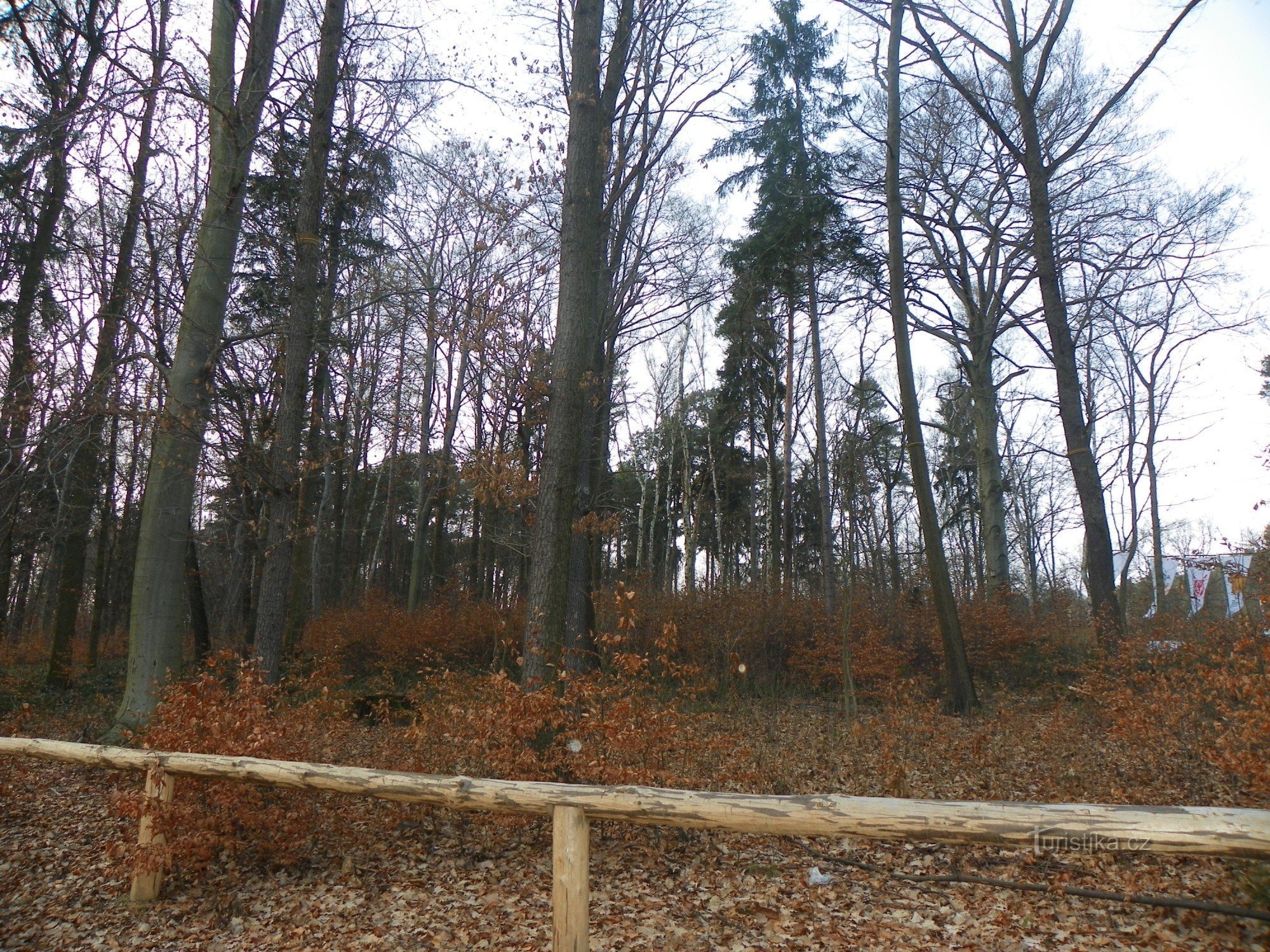 Děčín Shepherd's Wall