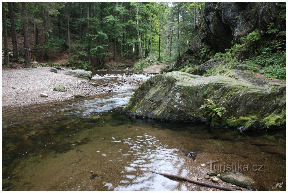 De hak van de Weeping Rock komt uit de rivier de Zdobnice