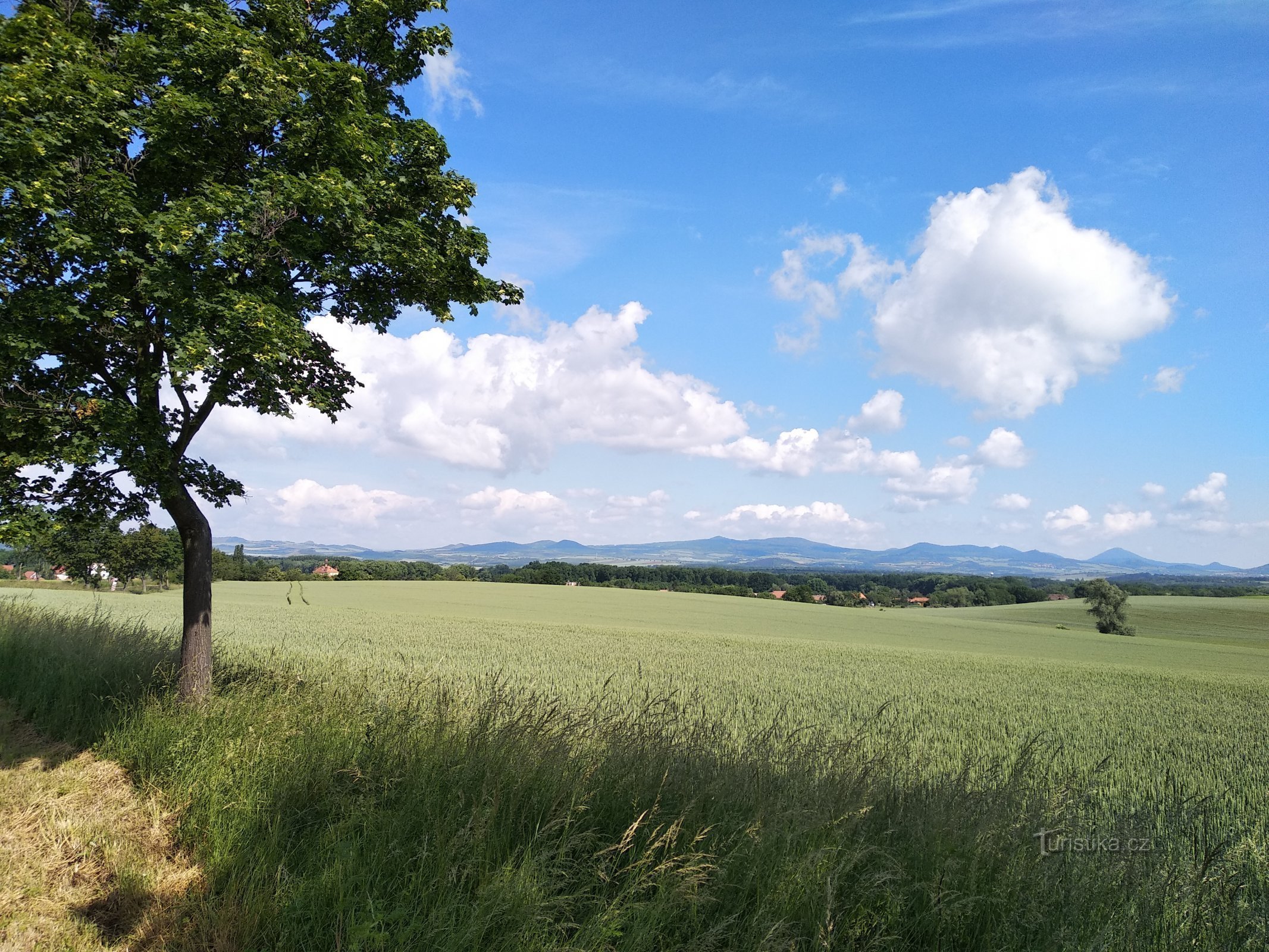 Friday and the České středohoří