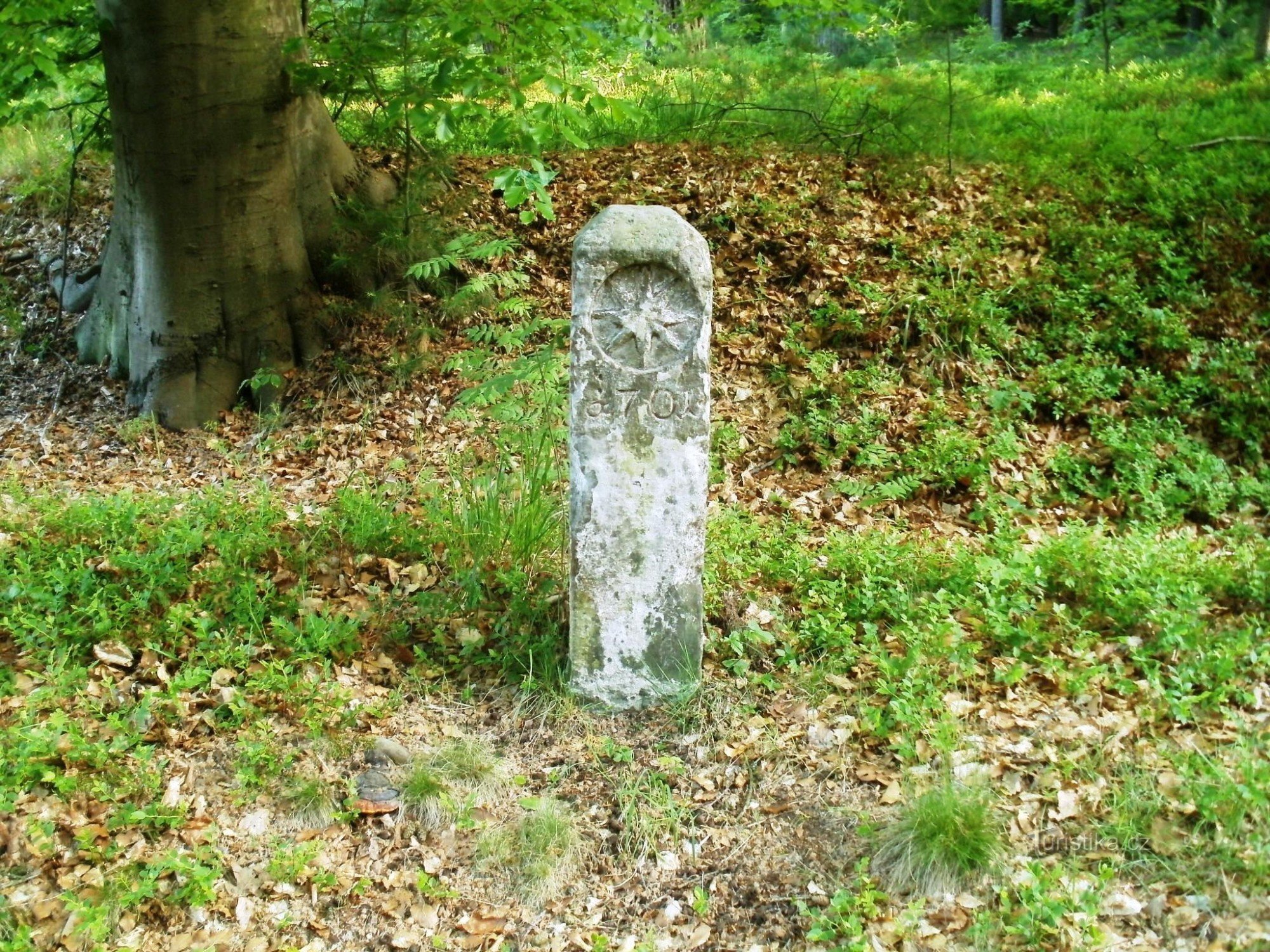 Кнехт, межовий камінь - Hradecké lesy
