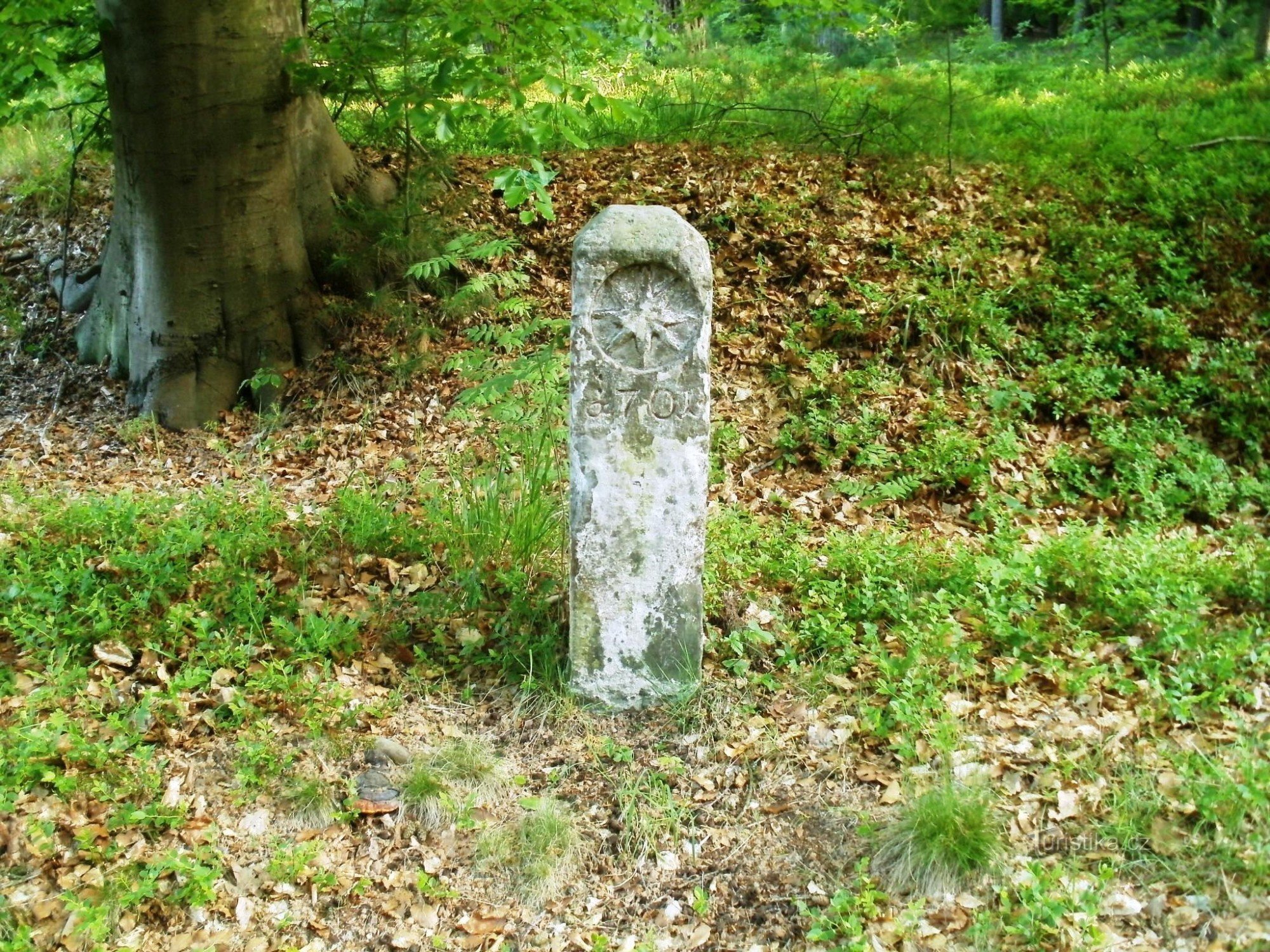 Bollard, đá ranh giới - Hradecké lesy