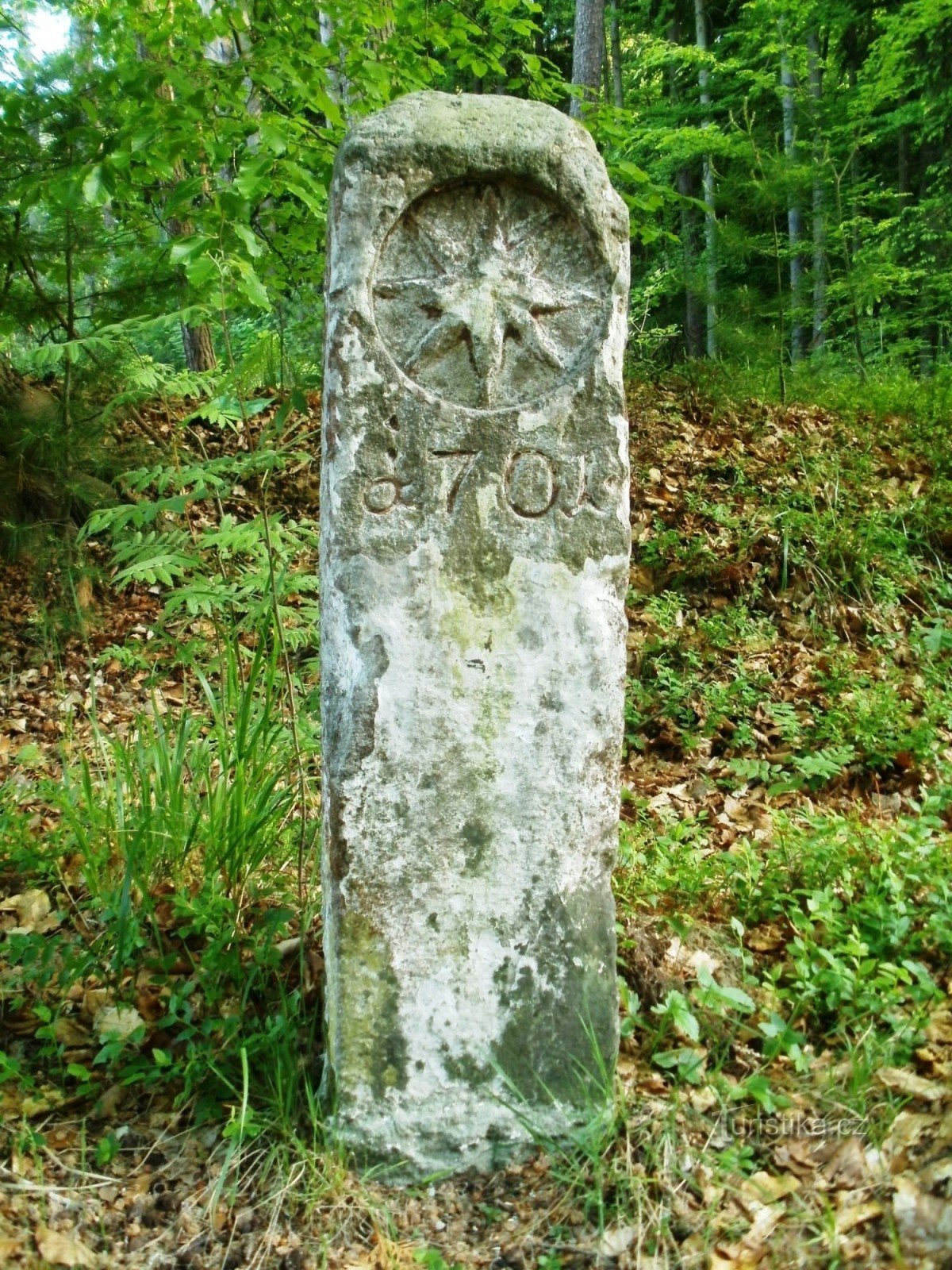 Bollard，界石 - Hradecké lesy