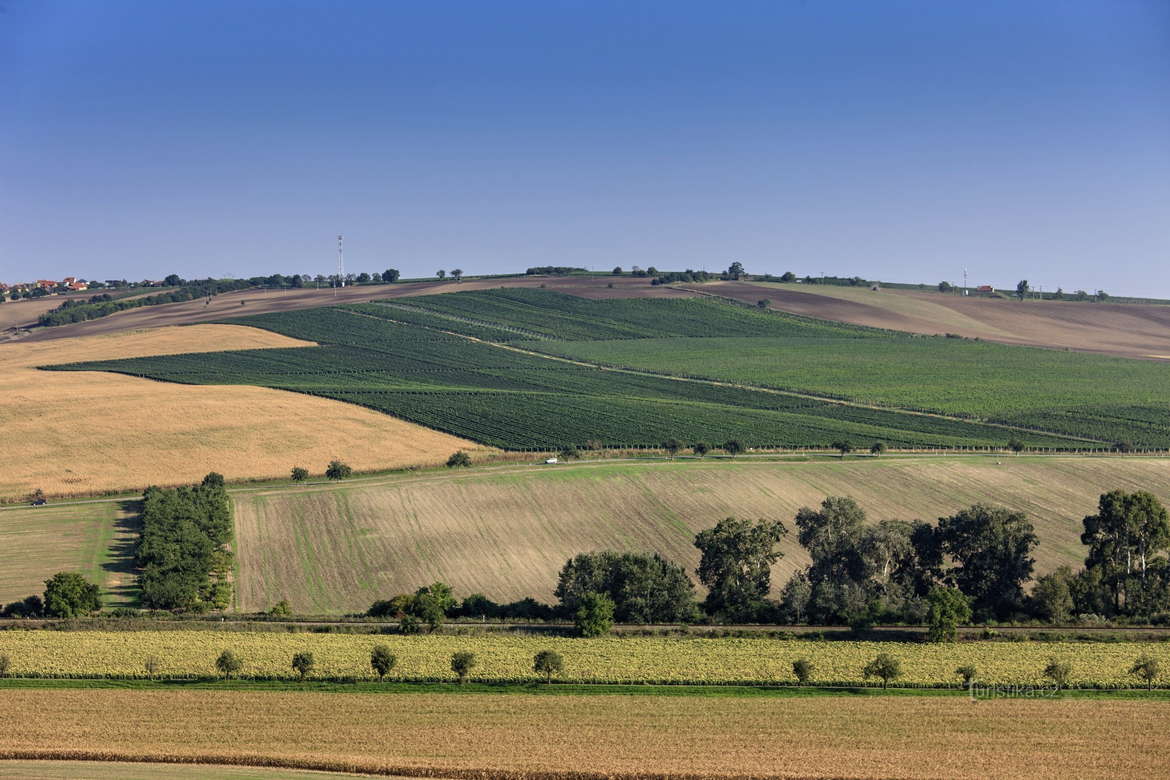 ПАТРИЯ Кобыла