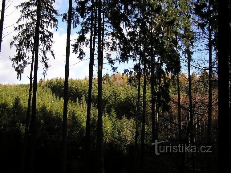 Pavelák: Vista desde la carretera de Hubert a Dolní Nětčice