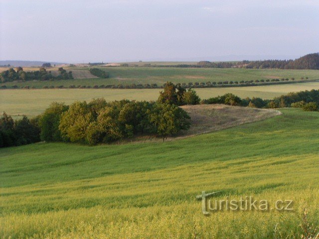 Pavlech-Felsen