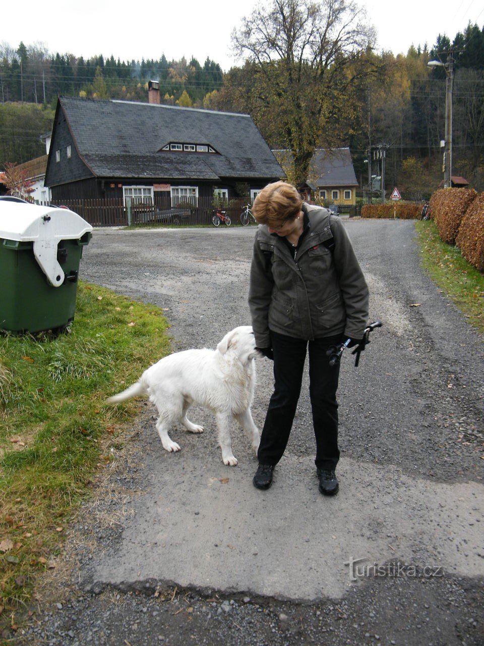 Pavlina w oblężeniu