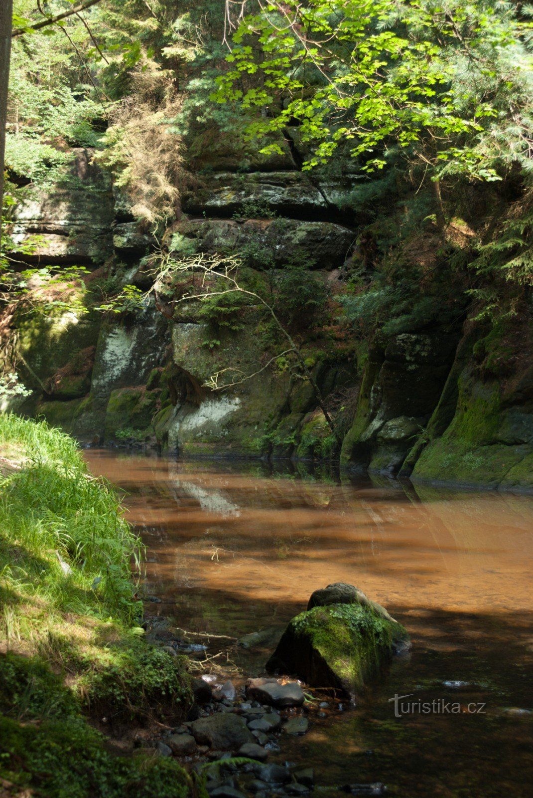 Vale de Pavlina - um tranquilo passeio pela floresta ao longo de Chřibská Kamenice